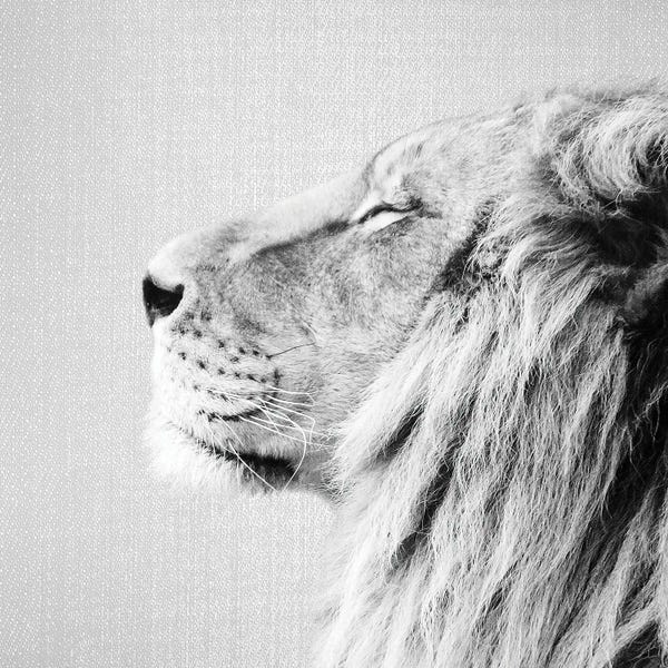 Lions: Lion Portrait In Black & White by Gal Design