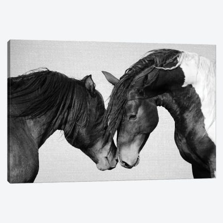 Horses In Black & White II Canvas Print #GAD70} by Gal Design Canvas Print