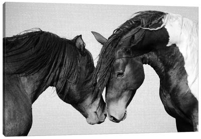 Horses In Black & White II Canvas Art Print - Gal Design