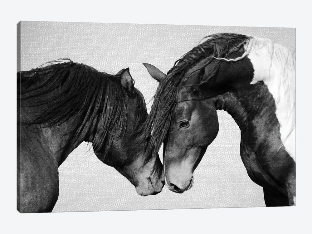 Horses In Black & White II by Gal Design 1-piece Canvas Print
