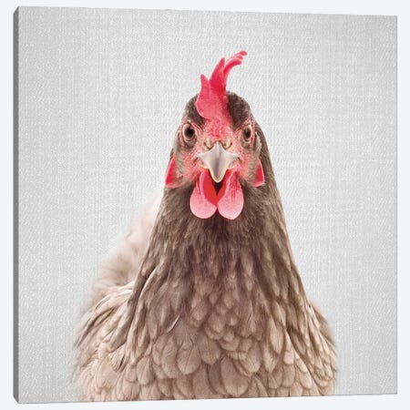 Chicken Canvas Print #GAD71} by Gal Design Canvas Art Print