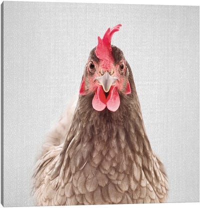 Chicken Canvas Art Print - Gal Design