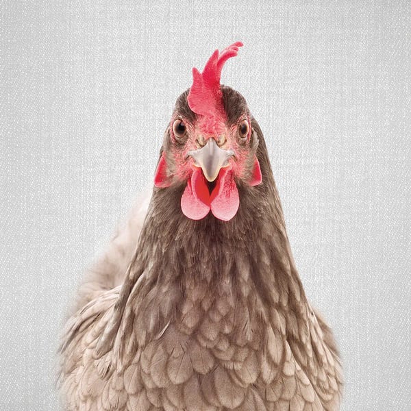 Chickens & Roosters: Chicken by Gal Design