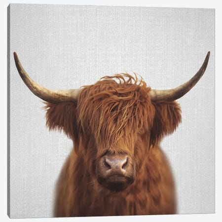 Highland Cow Canvas Print #GAD72} by Gal Design Canvas Print