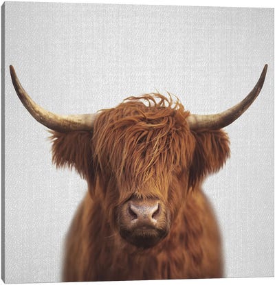 Highland Cow Canvas Art Print - Neutrals