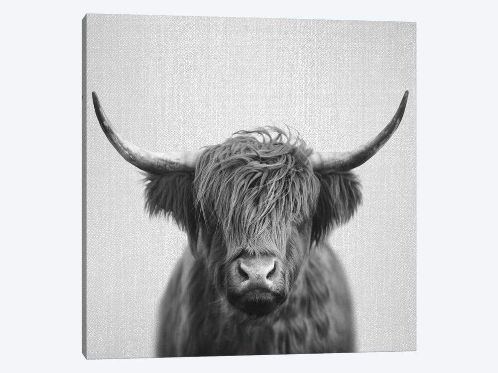 Highland Cow In Black & White by Gal Design 1-piece Canvas Artwork