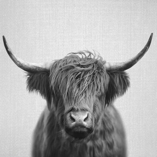 Neutrals: Highland Cow In Black & White by Gal Design