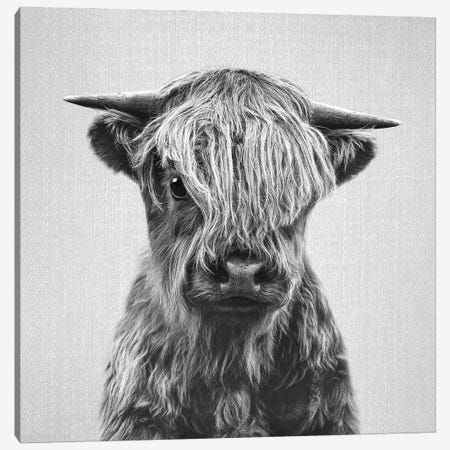 Highland Calf In Black & White Canvas Print #GAD75} by Gal Design Canvas Artwork