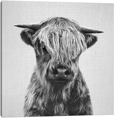 Highland Calf In Black & White Canvas Art Print - Gal Design