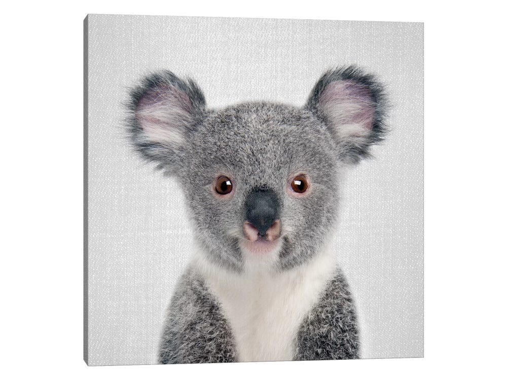 Vintage Koala Paper Backgrounds