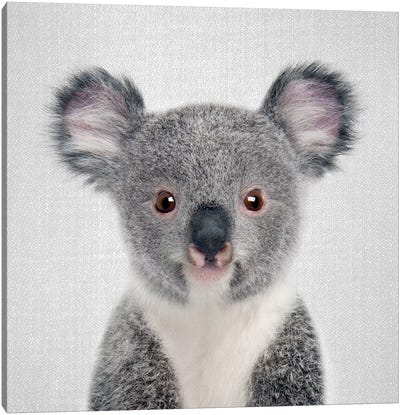 Baby Koala Canvas Art Print