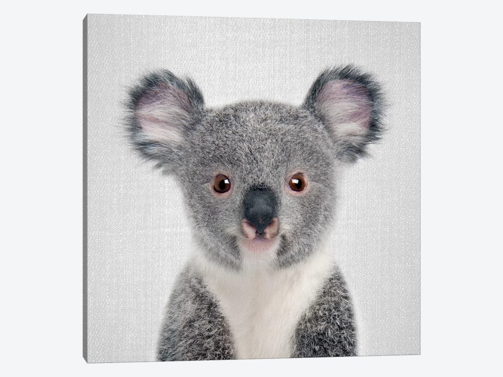 Koala Wall Art Koala Poster Animal Print A Black and White Koala Koala Print