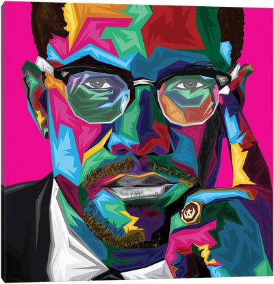 Malcolm X Canvas Art Print - Glasses & Eyewear Art