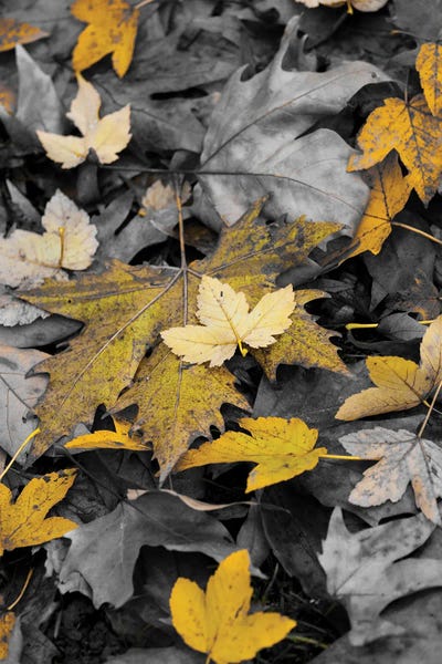 Idile X by Goran Anastasovski multi panel art