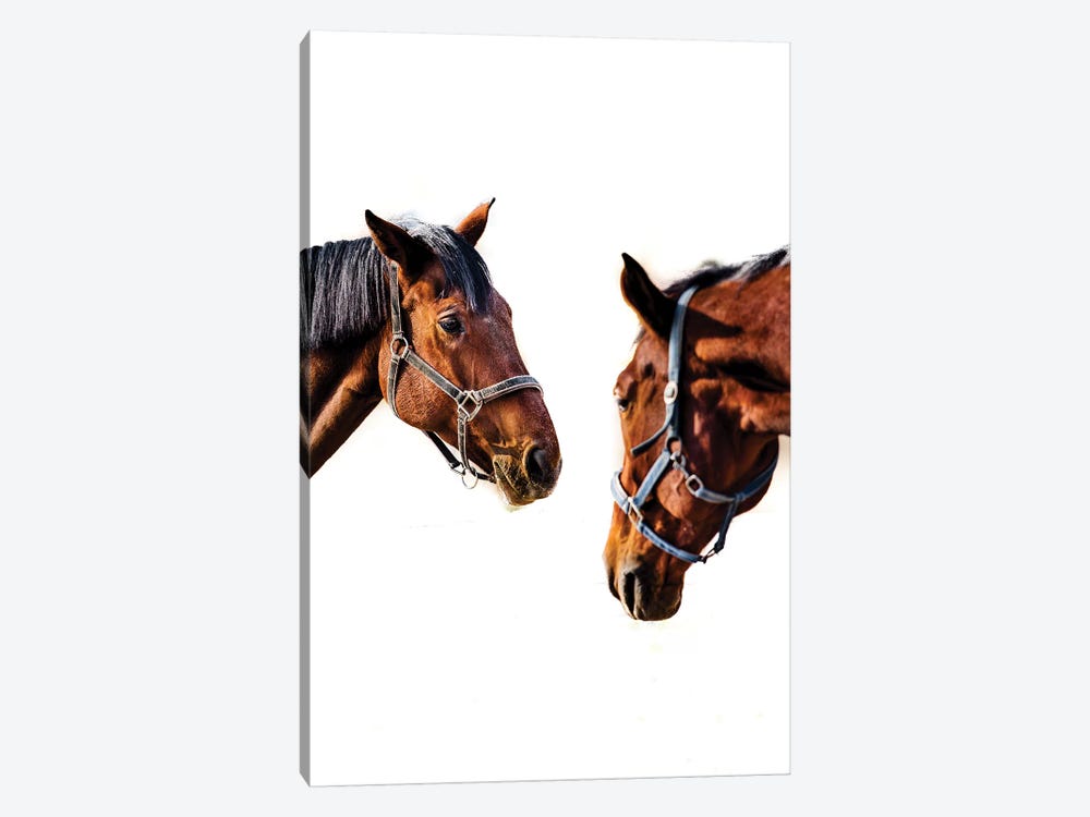 Horses by Goran Anastasovski 1-piece Canvas Print