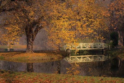 Idile II by Goran Anastasovski canvas print