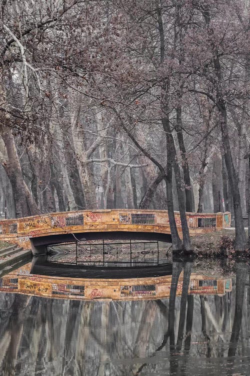 Idile III by Goran Anastasovski wall art