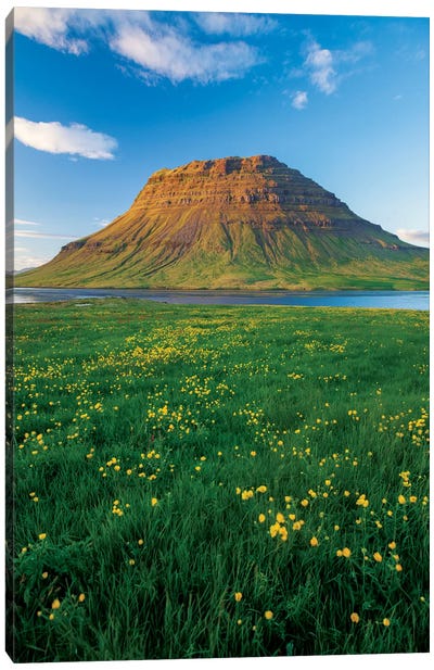 Buttercup Meadow II, Kirkjufell, Grundarfjordur, Snaefellsnes Peninsula, Vesturland, Iceland Canvas Art Print - Iceland Art