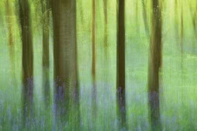 Waterfall On The Canrooska River, Ireland by Gareth McCormack canvas print