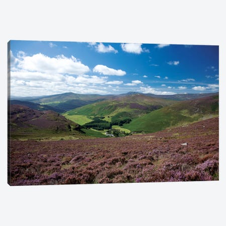 Cloghoge Valley I, Wicklow Mountains, County Wicklow, Leinster Province, Republic Of Ireland Canvas Print #GAR11} by Gareth McCormack Art Print