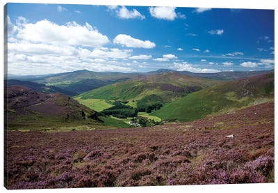 Cloghoge Valley I, Wicklow Mountains, County Wicklow, Leinster Province, Republic Of Ireland Canvas Art Print