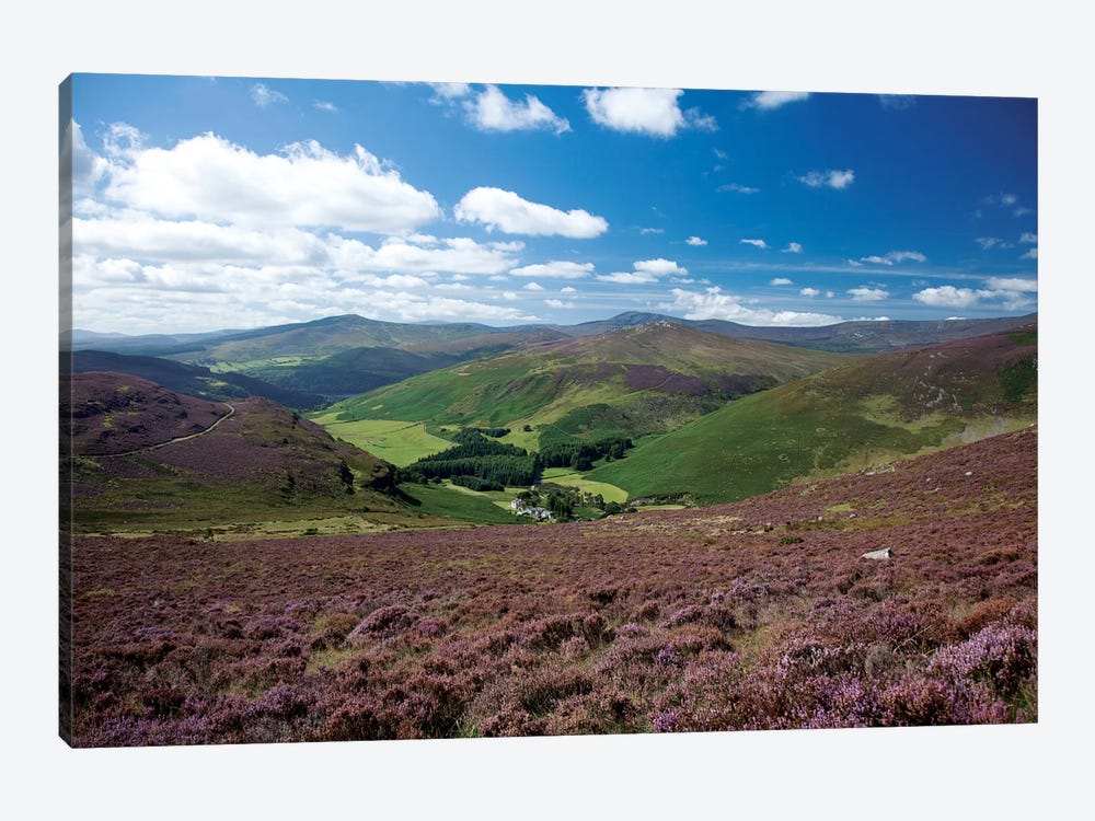 Cloghoge Valley I, Wicklow Mountains, County Wicklow, Leinster Province, Republic Of Ireland by Gareth McCormack 1-piece Canvas Art Print