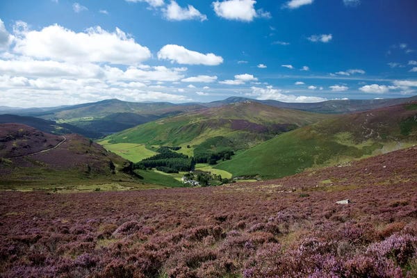 Wicklow: Cloghoge Valley I, Wicklow Mountains, County Wicklow, Leinster Province, Republic Of Ireland by Gareth McCormack
