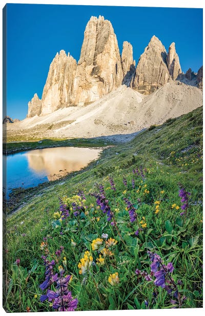 Alpine Wildflowers Beneath Tre Cime Di Lavaredo, Sexten Dolomites, Italy Canvas Art Print - Gareth McCormack