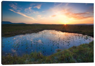 Bog Pool Sunset Beneath The Nephin Beg Mountains, Ballycroy National Park, County Mayo, Ireland Canvas Art Print