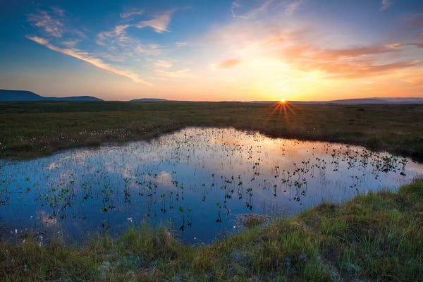 Lake Sunrises & Sunsets: Bog Pool Sunset Beneath The Nephin Beg Mountains, Ballycroy National Park, County Mayo, Ireland by Gareth McCormack