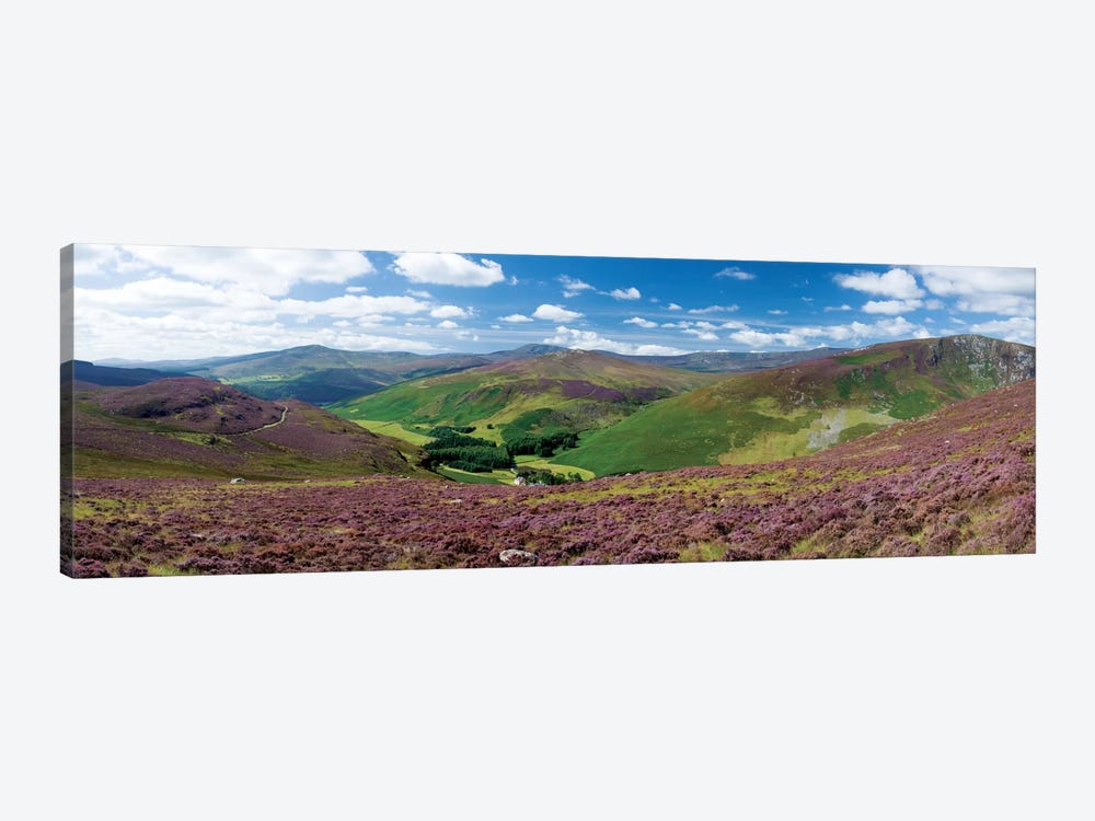 Cloghoge Valley II, Wicklow Mountains, County Wicklow, Leinster Province, Republic Of Ireland by Gareth McCormack 1-piece Canvas Art
