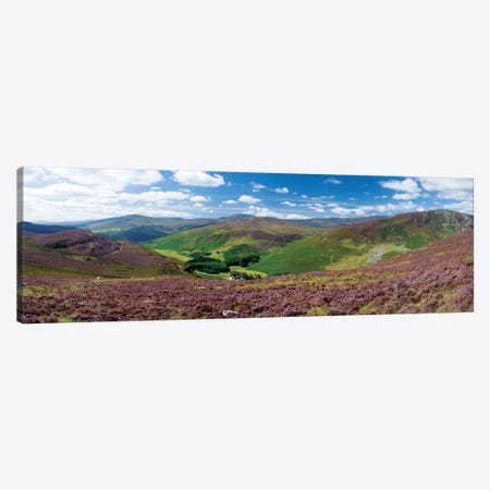 Cloghoge Valley II, Wicklow Mountains, County Wicklow, Leinster Province, Republic Of Ireland Canvas Print #GAR12} by Gareth McCormack Canvas Art Print