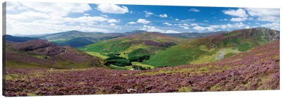 Cloghoge Valley II, Wicklow Mountains, County Wicklow, Leinster Province, Republic Of Ireland Canvas Art Print - Valley Art