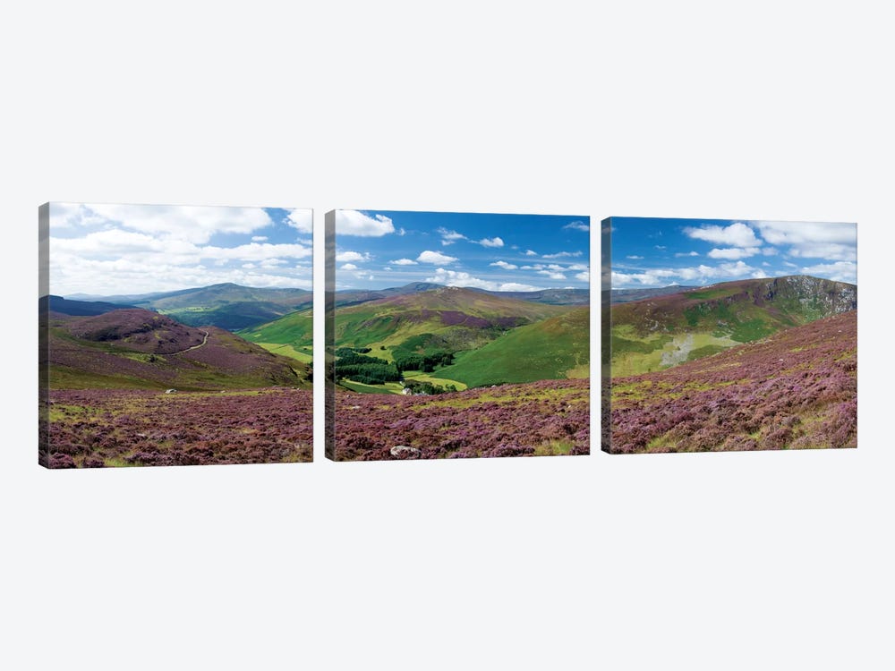 Cloghoge Valley II, Wicklow Mountains, County Wicklow, Leinster Province, Republic Of Ireland by Gareth McCormack 3-piece Canvas Artwork