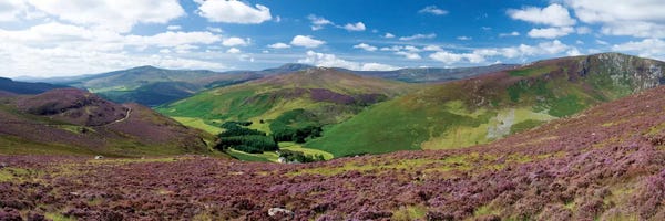 Wicklow: Cloghoge Valley II, Wicklow Mountains, County Wicklow, Leinster Province, Republic Of Ireland by Gareth McCormack