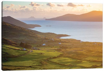 Evening Light Over Fields And Skellig Islands From Ballinskelligs Bay II, County Kerry, Ireland Canvas Art Print - Kerry
