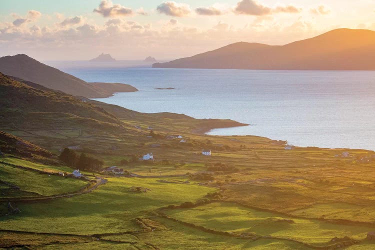 Evening Light Over Fields And Skellig Islands From Ballinskelligs Bay II, County Kerry, Ireland