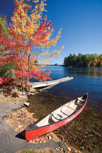 Fall Colors And Canoe, Maine, New England, USA by Gareth McCormack framed canvas print