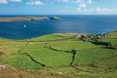 Green Fields Surround The Hamlet Of Ballynacallagh, Dursey Island, Beara Peninsula, County Cork, Ireland by Gareth McCormack canvas print