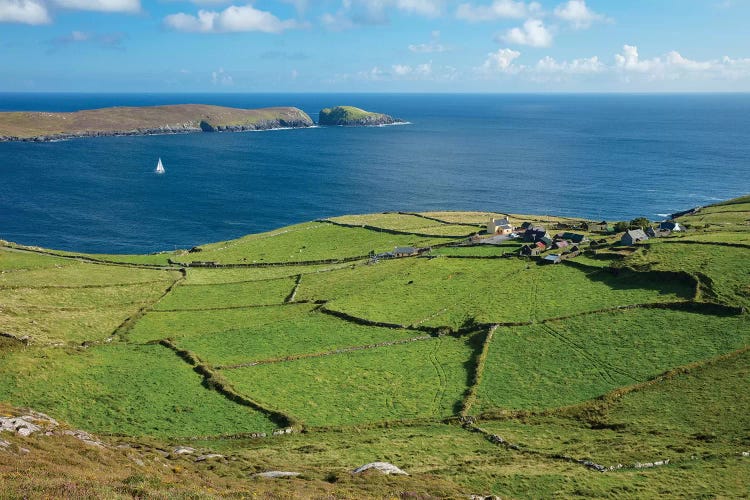 Green Fields Surround The Hamlet Of Ballynacallagh, Dursey Island, Beara Peninsula, County Cork, Ireland