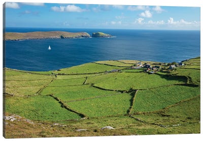 Green Fields Surround The Hamlet Of Ballynacallagh, Dursey Island, Beara Peninsula, County Cork, Ireland Canvas Art Print