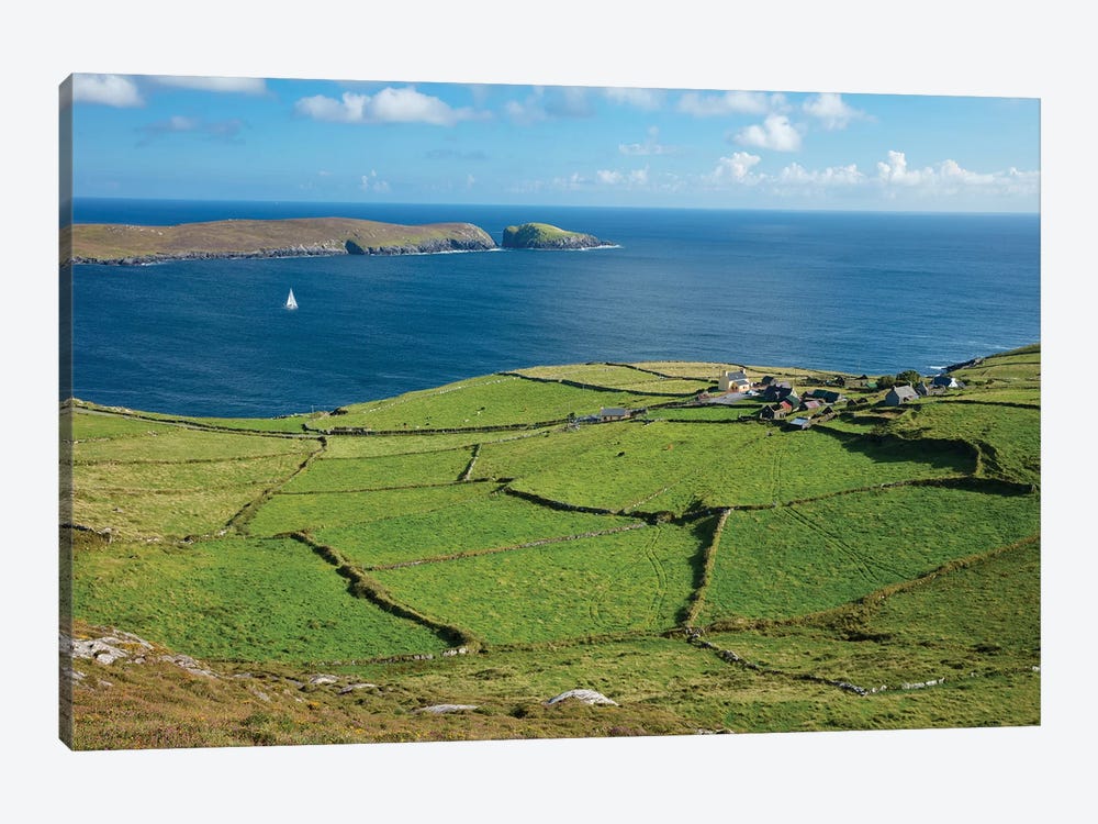 Green Fields Surround The Hamlet Of Ballynacallagh, Dursey Island, Beara Peninsula, County Cork, Ireland by Gareth McCormack 1-piece Art Print