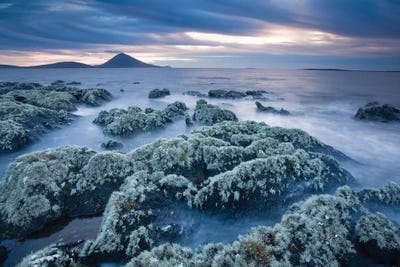 Lichen-Covered Coastline, Ballycroy, County Mayo, Ireland by Gareth McCormack canvas print