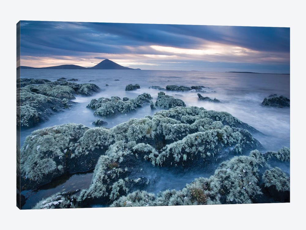 Lichen-Covered Coastline, Ballycroy, County Mayo, Ireland by Gareth McCormack 1-piece Canvas Art