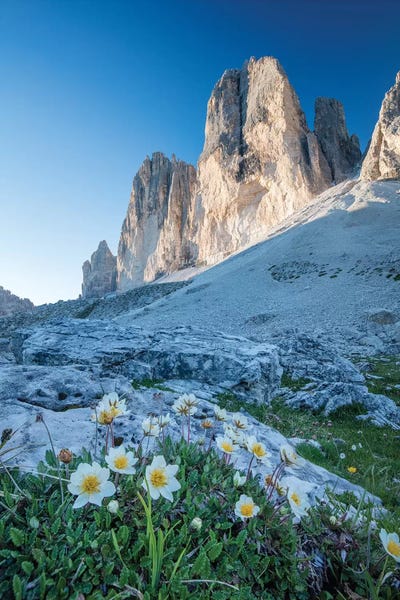 Mountain Aven Beneath Tre Cime Di Lavaredo, Sexten Dolomites, Italy by Gareth McCormack canvas print