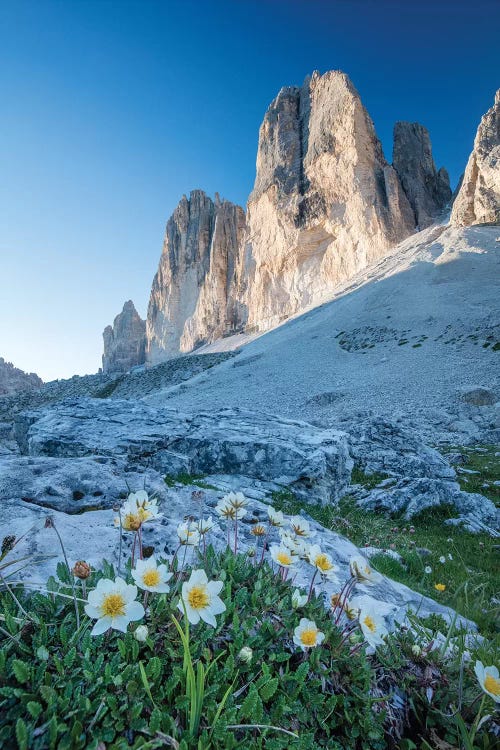 Mountain Aven Beneath Tre Cime Di Lavaredo, Sexten Dolomites, Italy