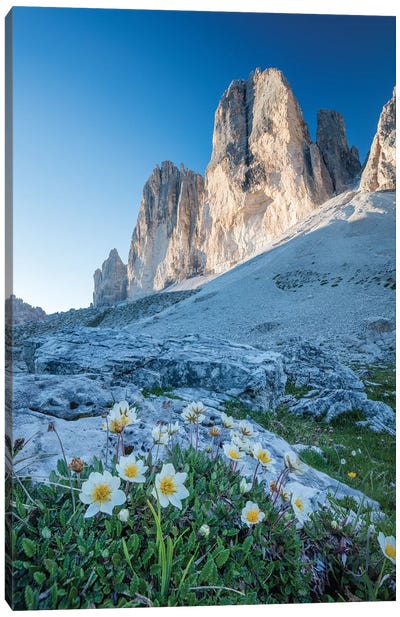 Mountain Aven Beneath Tre Cime Di Lavaredo, Sexten Dolomites, Italy Canvas Art Print - Gareth McCormack
