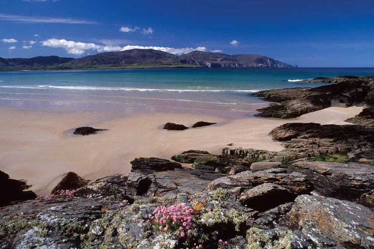 Coastal Landscape, Tramore Strand, Rosbeg, County Donegal, Ulster Province, Repiblic Of Ireland