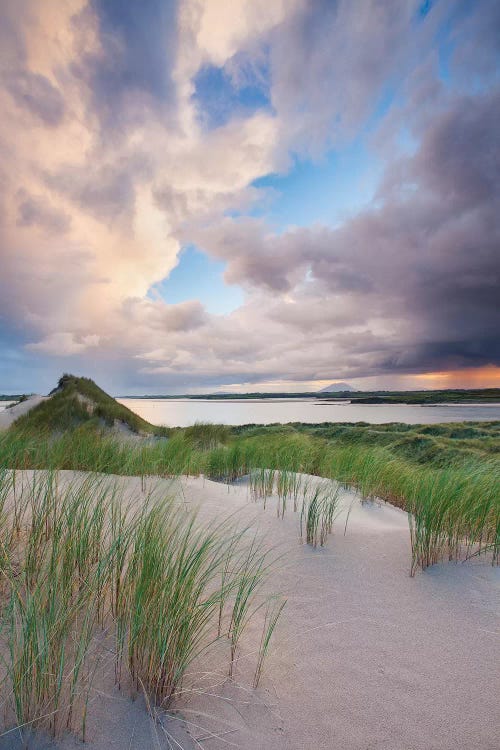 Sand Dunes, Enniscrone, County Sligo, Ireland