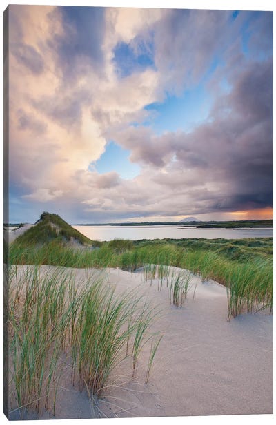 Sand Dunes, Enniscrone, County Sligo, Ireland Canvas Art Print - Gareth McCormack